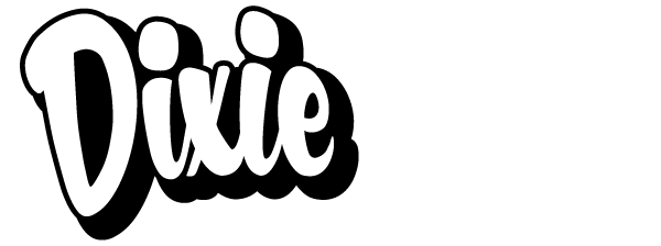 Dixie Auto Parts